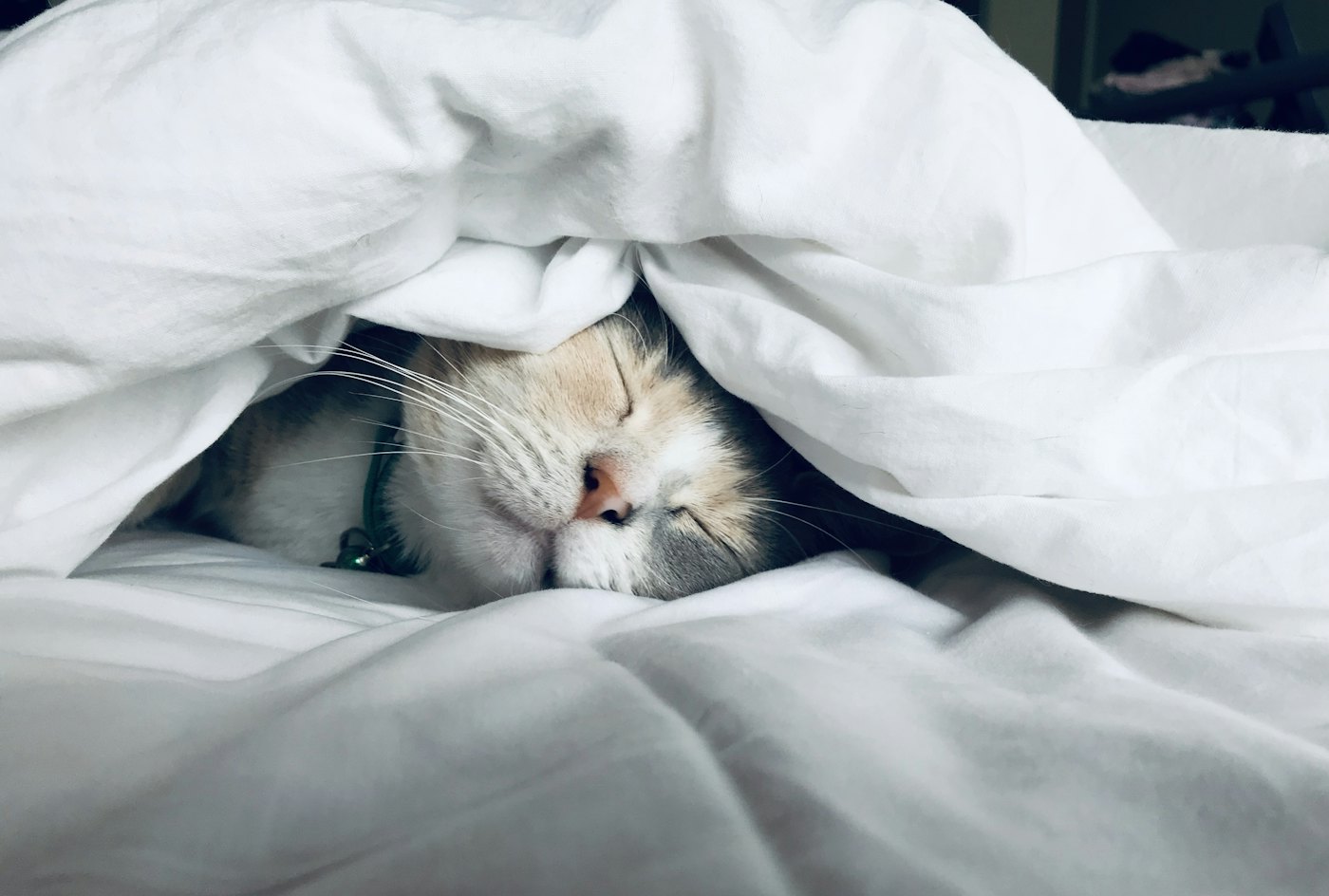 Athlete resting in a dim bedroom